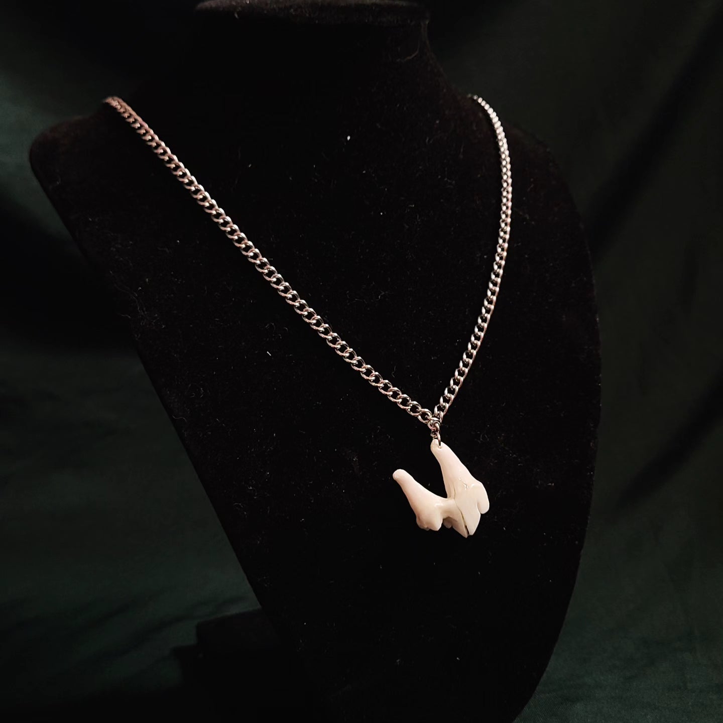 Coyote Molar Necklace