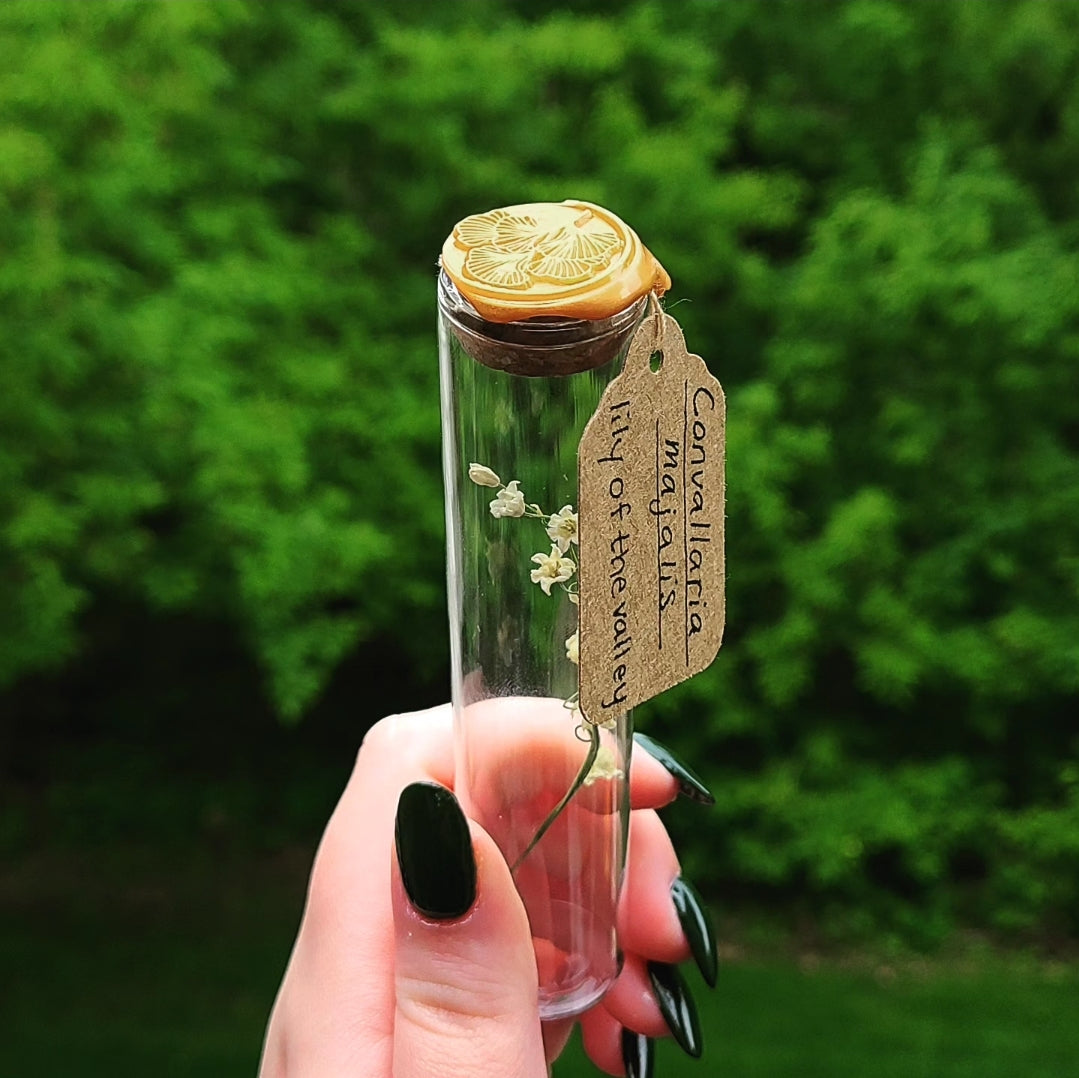 Lily of the Valley Specimen Vials