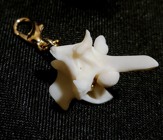 Bone Charm