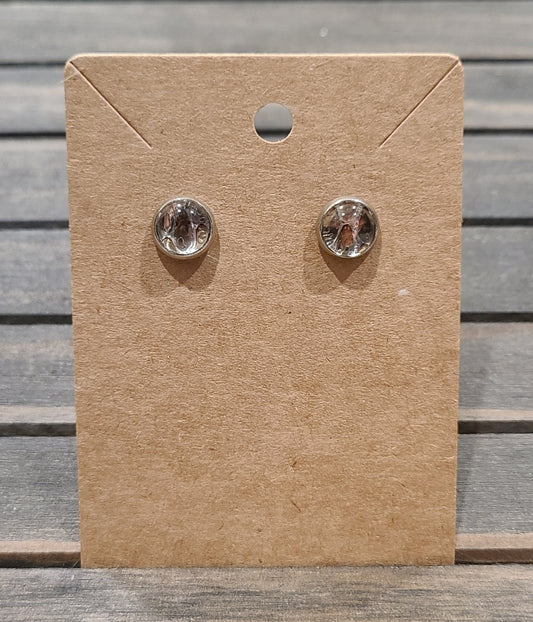 Snake shed studs