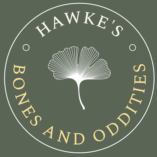 Hawke's Bones and Oddities Gift Card