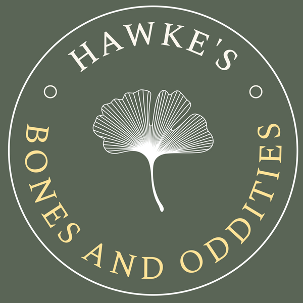 Hawke's Bones and Oddities