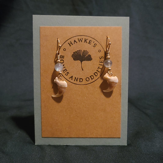 Bobcat Claw and Labradorite Dangle Earrings