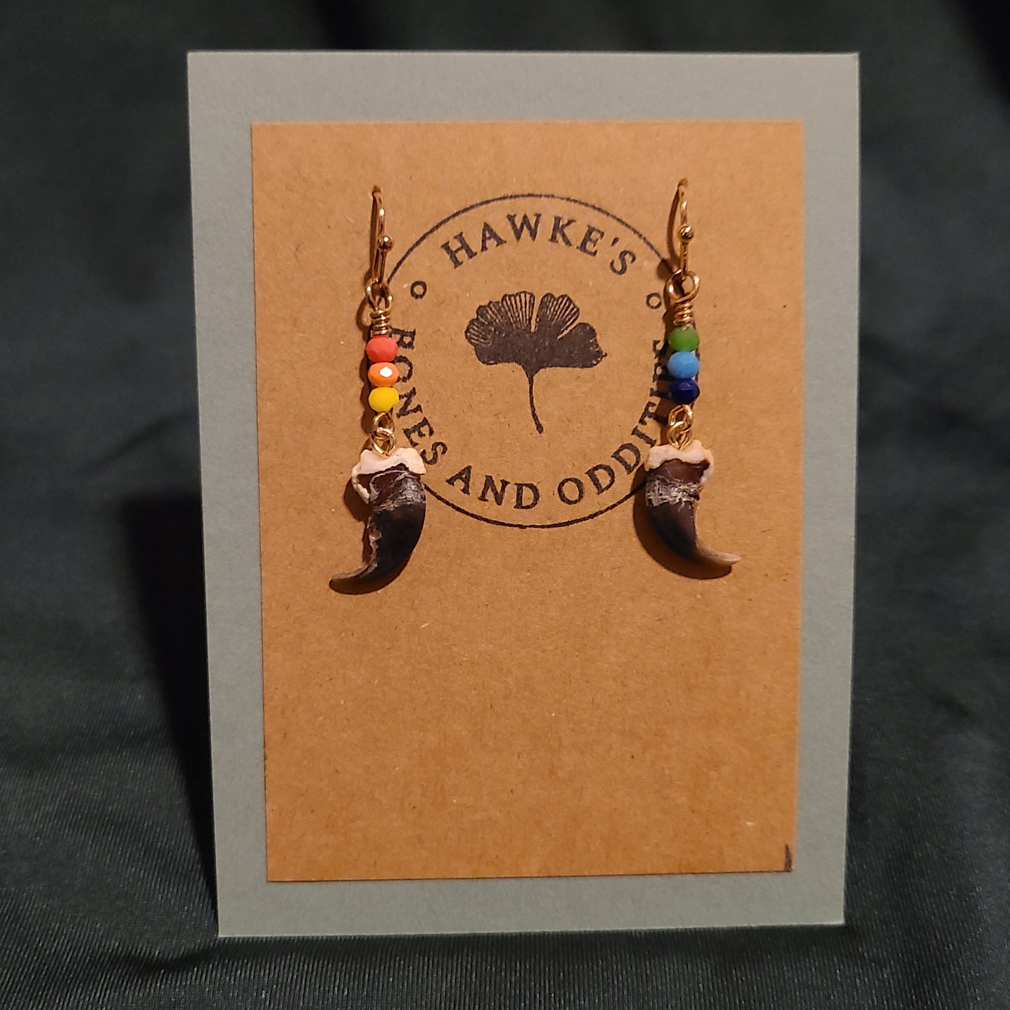 Pride Raccoon Claw Dangle Earrings
