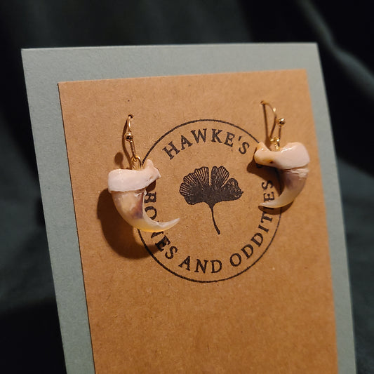 Bobcat Claw Earrings