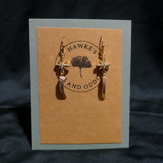 Skunk Claws and Star Earrings