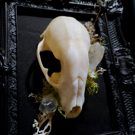 "Hollows Keeper"