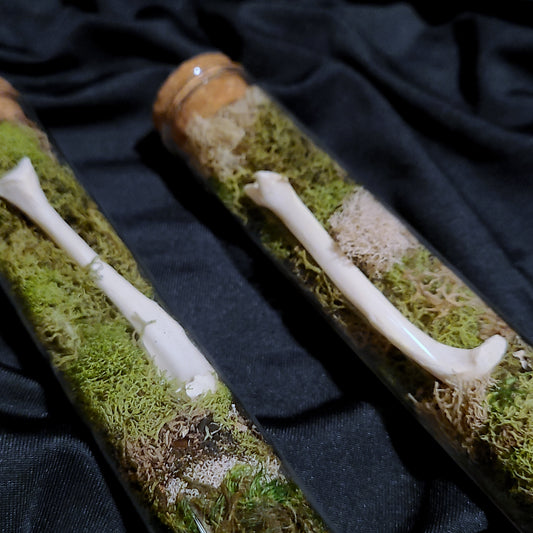 Mink Leg Bone Curio Vial