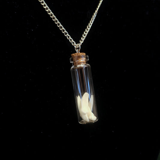Raccoon Tooth Vial Necklace