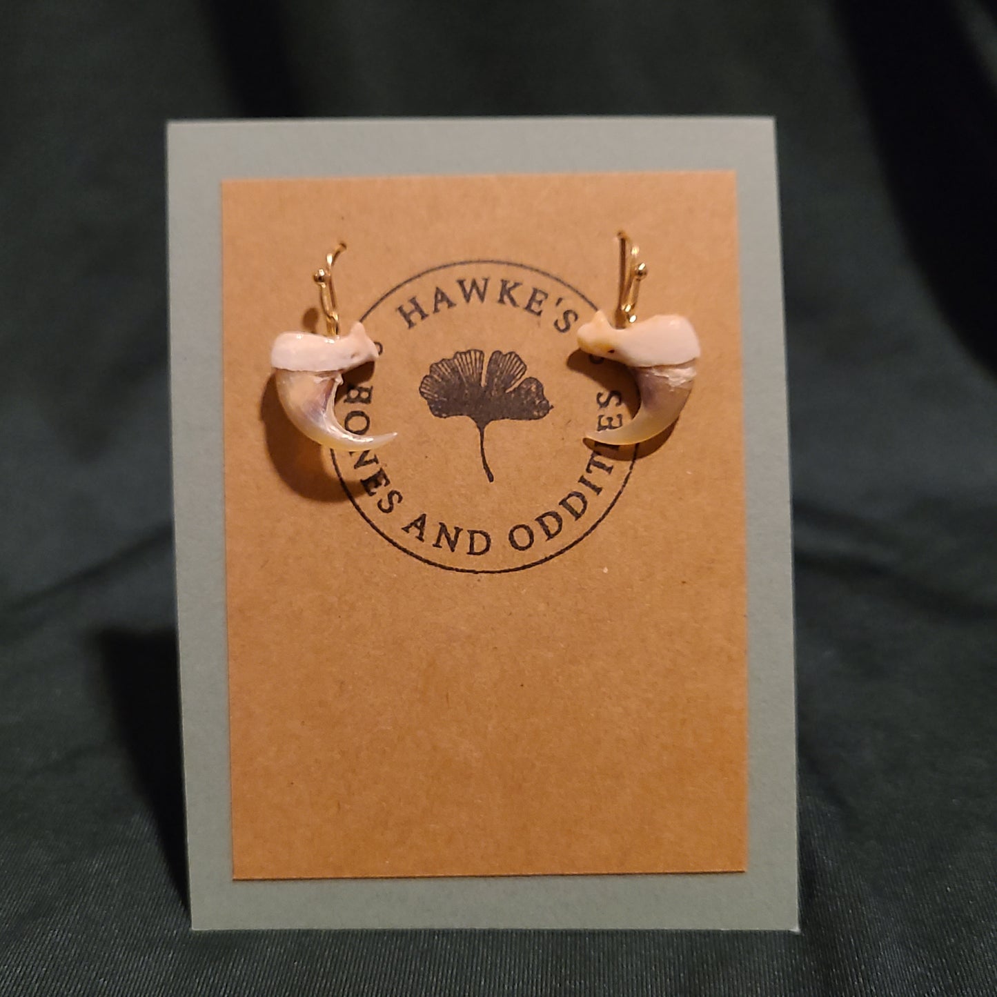 Bobcat Claw Earrings