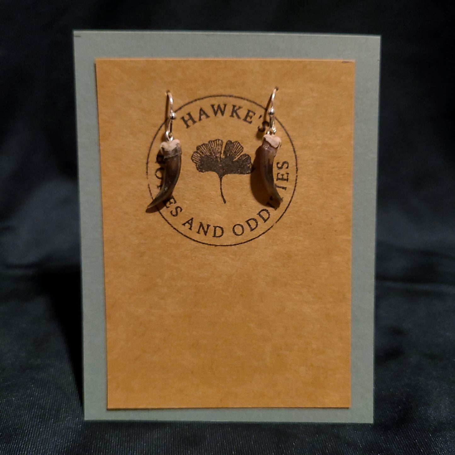 Skunk Claw Dangle Earrings