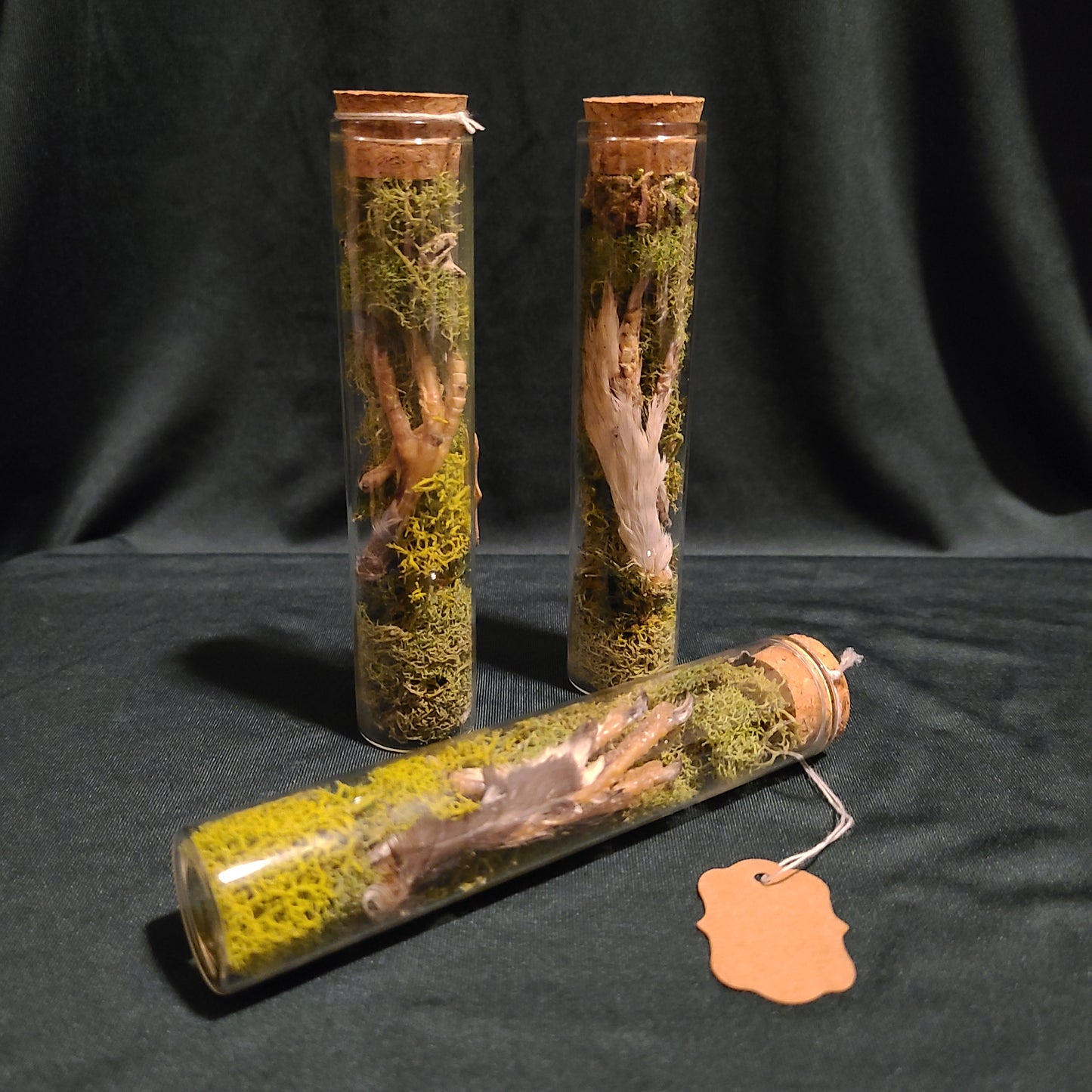 Pigeon Foot Curio Vial