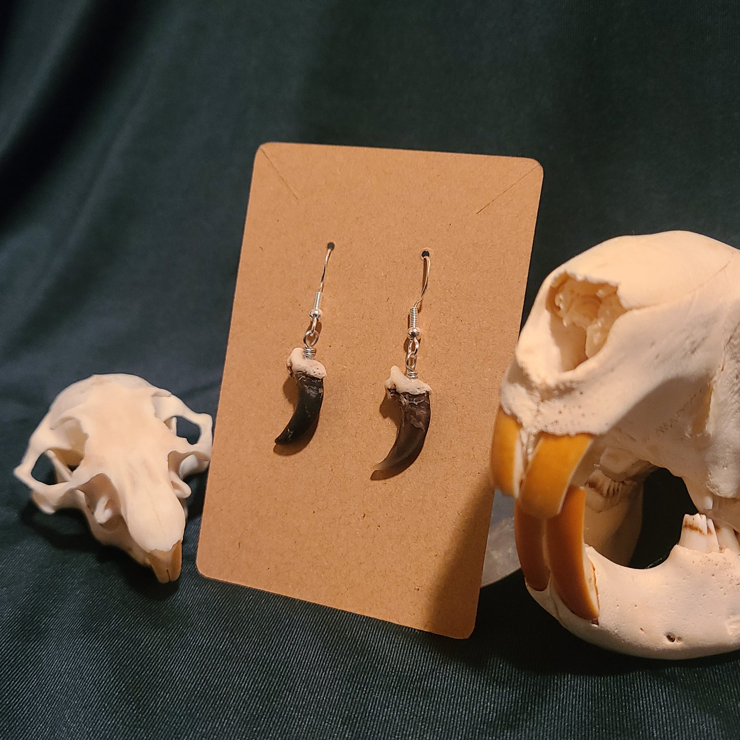 Coyote Claw Earrings