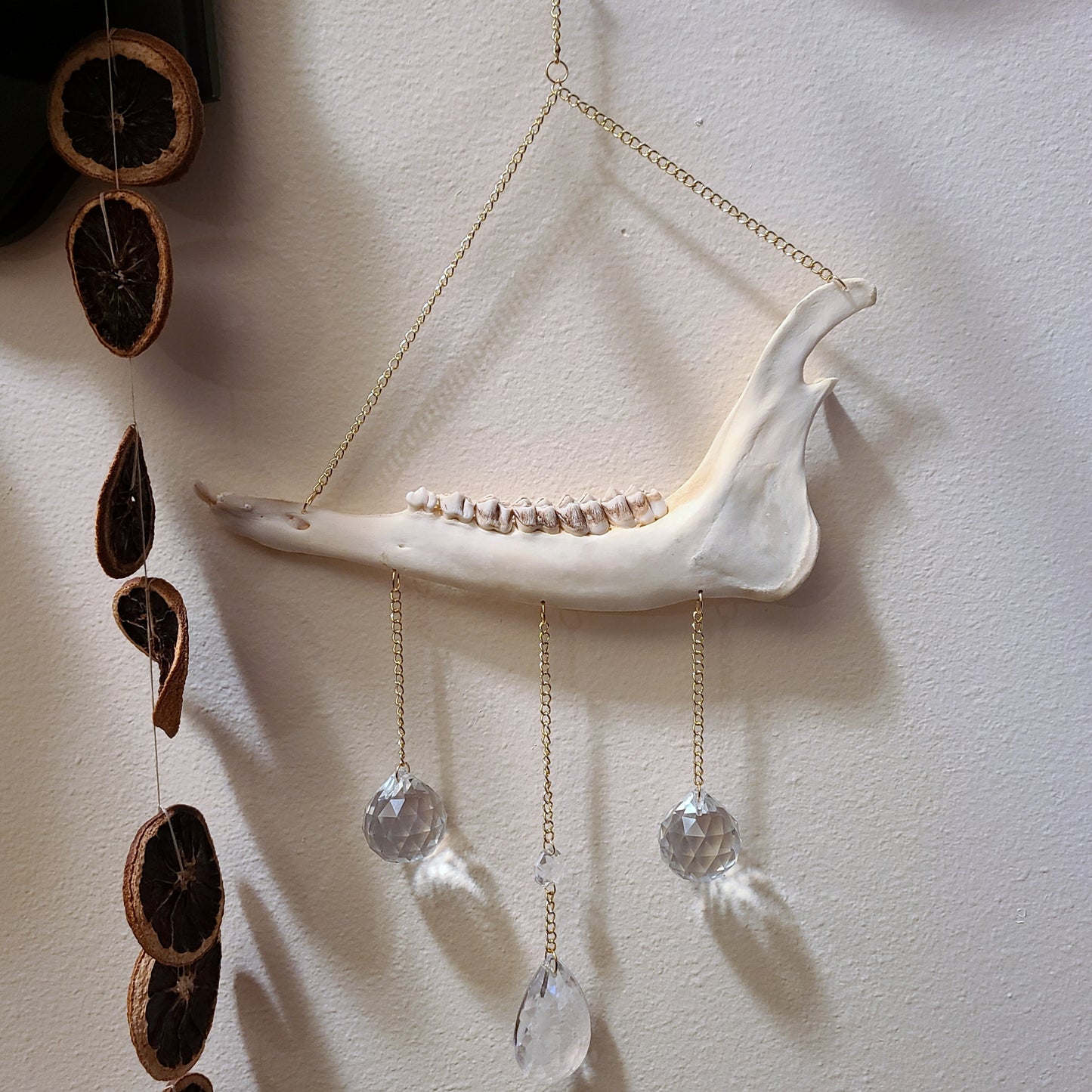 Deer Jaw Suncatcher