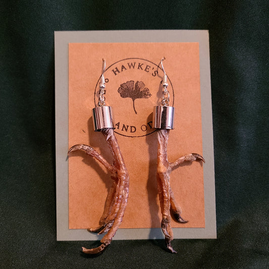 Feral Pigeon Feet Dangle Earrings