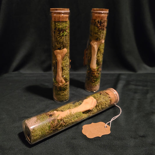 Beaver Foot Bone Curio Vial