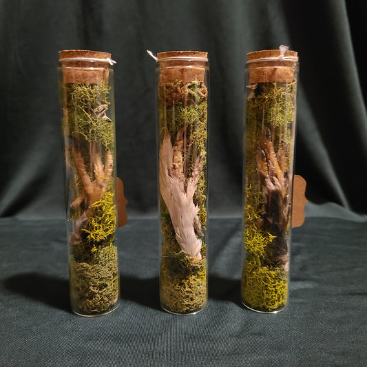 Pigeon Foot Curio Vial