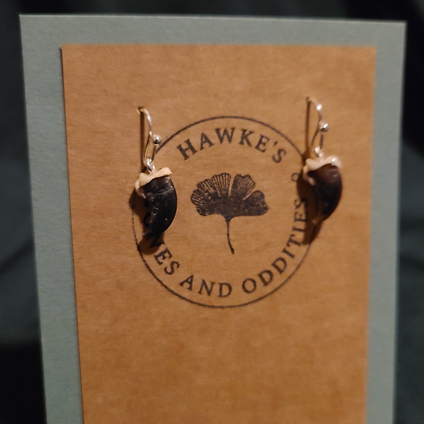 Raccoon Claw Dangle Earrings