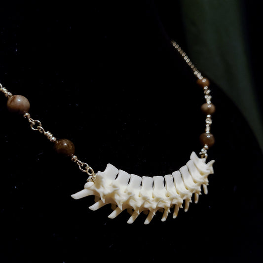 Articulated Rattlesnake Vertebrae and Petrified Wood Necklace