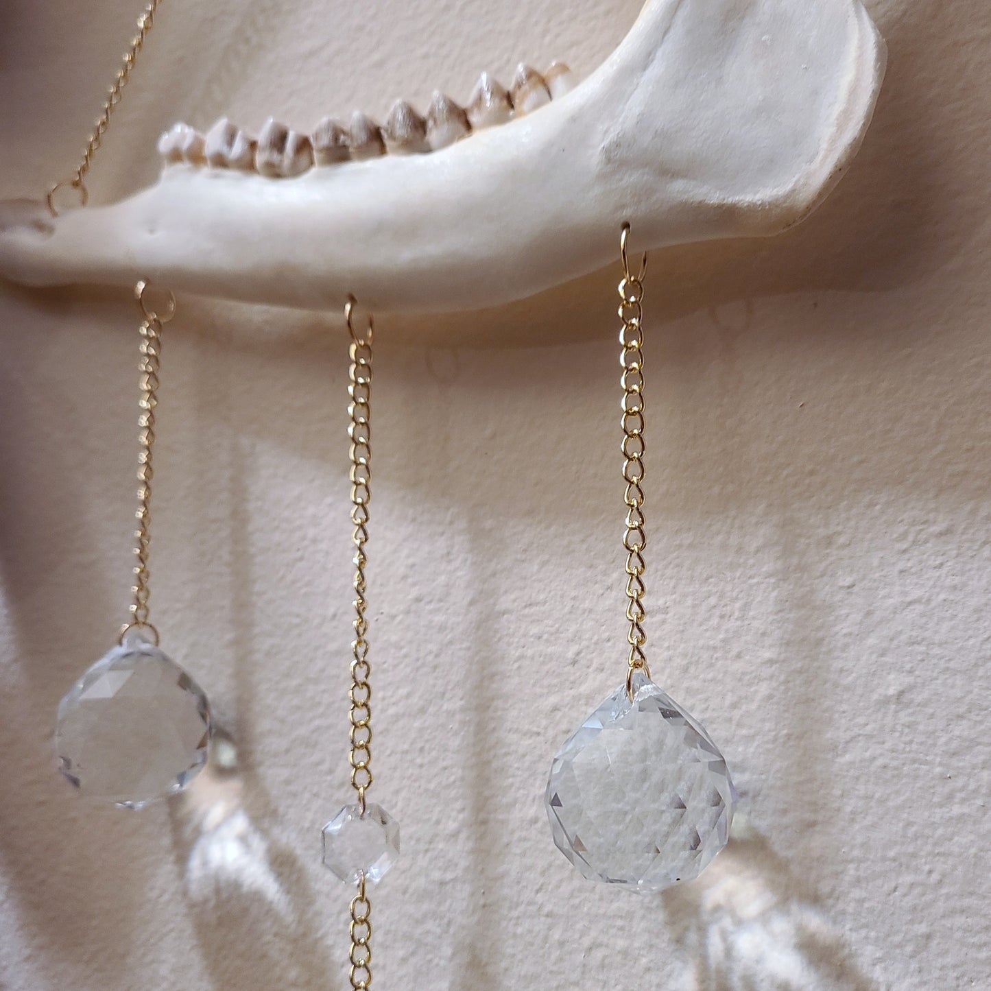 Deer Jaw Suncatcher