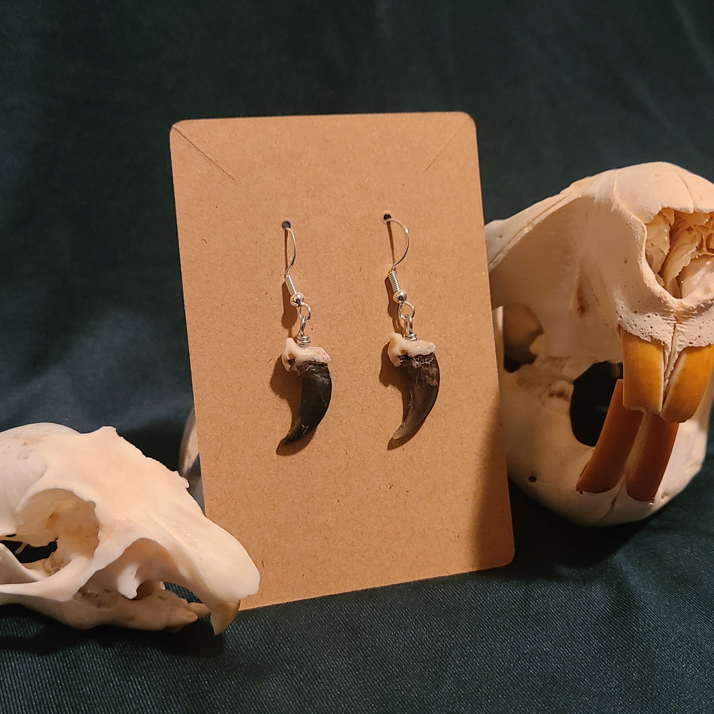 Coyote Claw Earrings