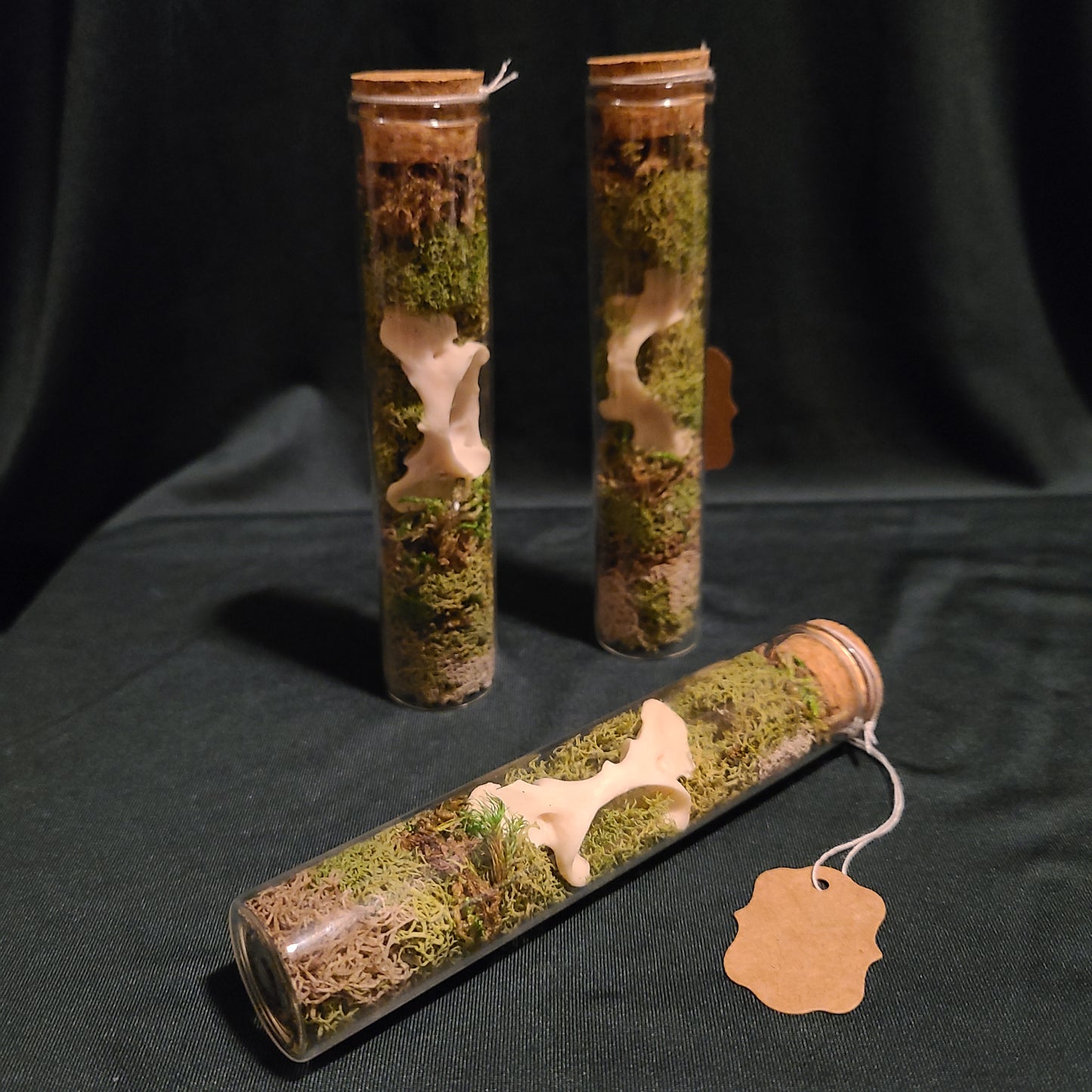 Otter Atlas Curio Vial