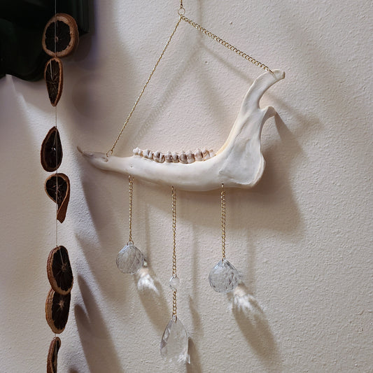 Deer Jaw Suncatcher