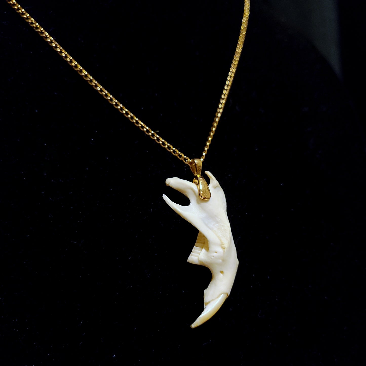 Muskrat Jaw Pendant Necklace