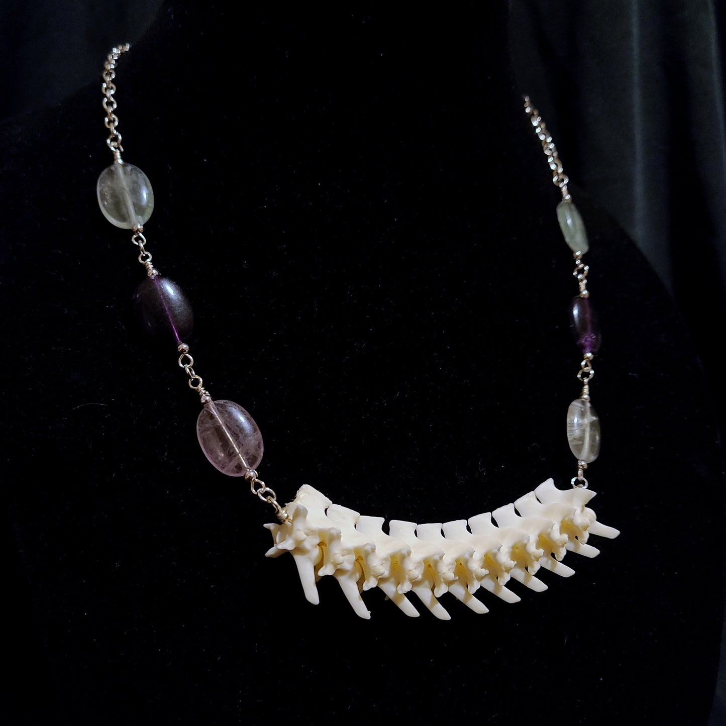 Articulated Rattlesnake Vertebrae and Rainbow Fluorite Necklace