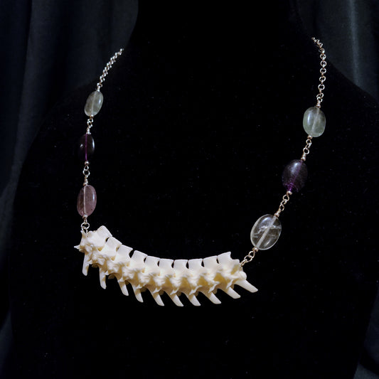 Articulated Rattlesnake Vertebrae and Rainbow Fluorite Necklace