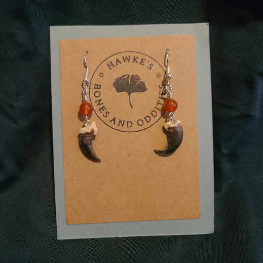 Coyote Claw and Carnelian Dangle Earrings