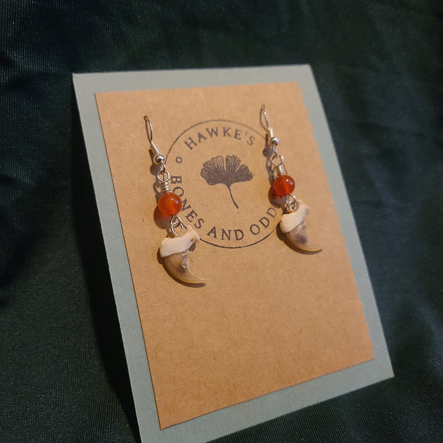 Bobcat Claw and Carnelian Dangle Earrings