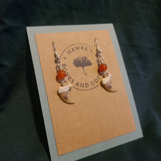 Bobcat Claw and Carnelian Dangle Earrings