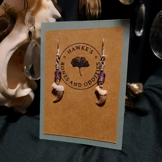Bobcat Claw and Amethyst Dangle Earrings