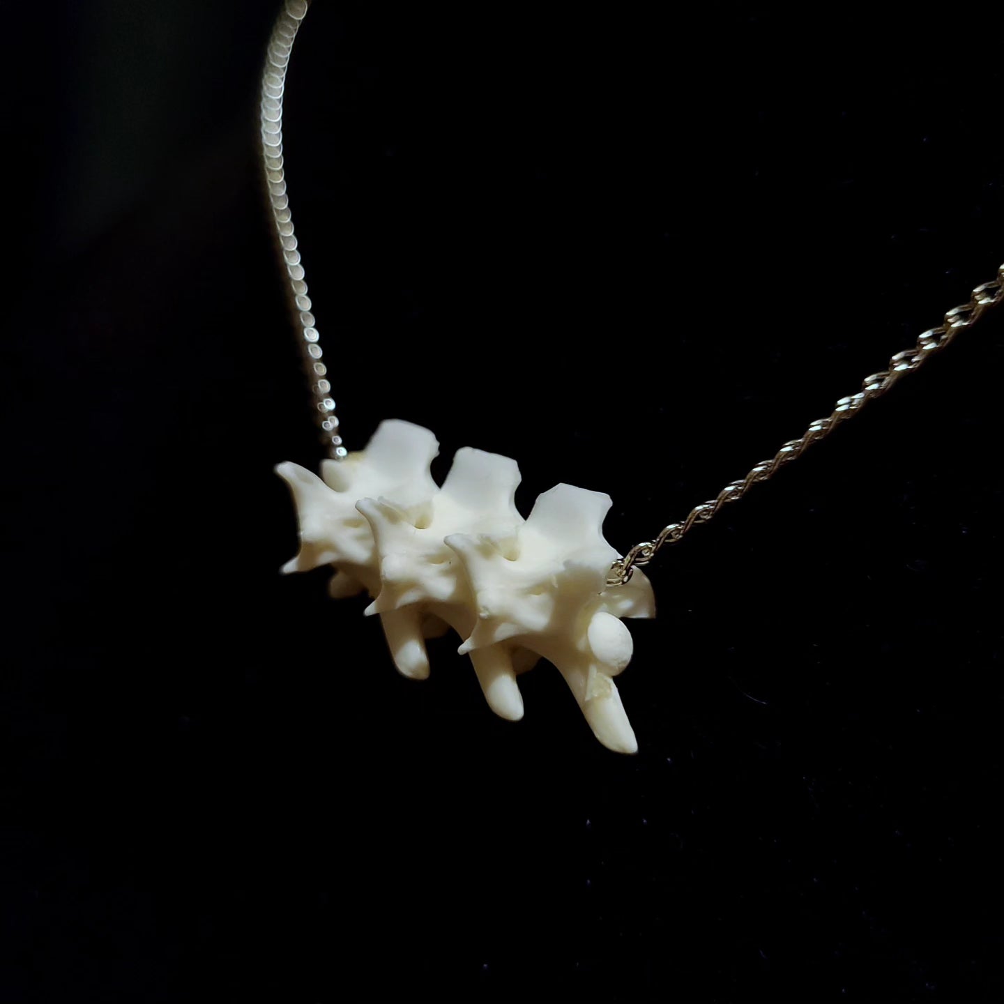 Rattlesnake Vertebrae Sliding Bar Necklace