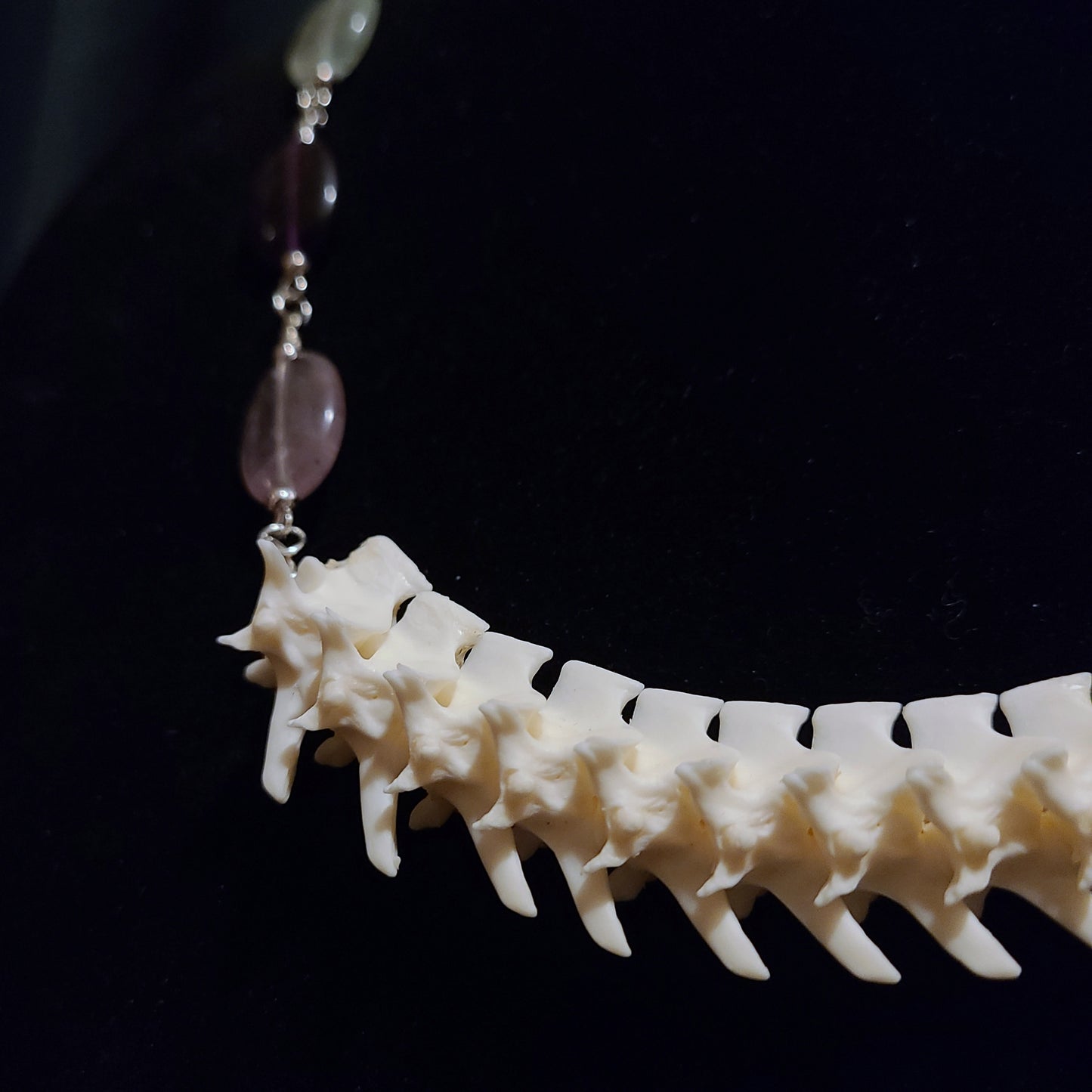Articulated Rattlesnake Vertebrae and Rainbow Fluorite Necklace