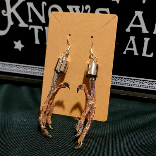 Feral Pigeon Foot Earrings