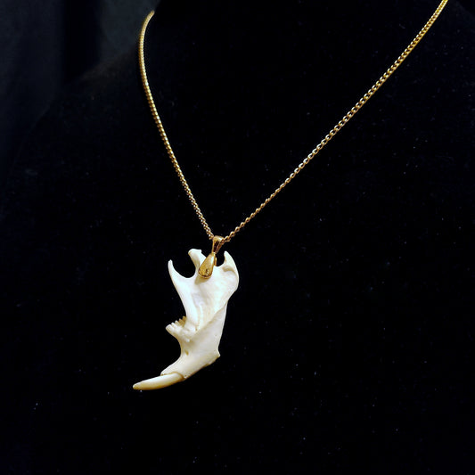 Muskrat Jaw Pendant Necklace