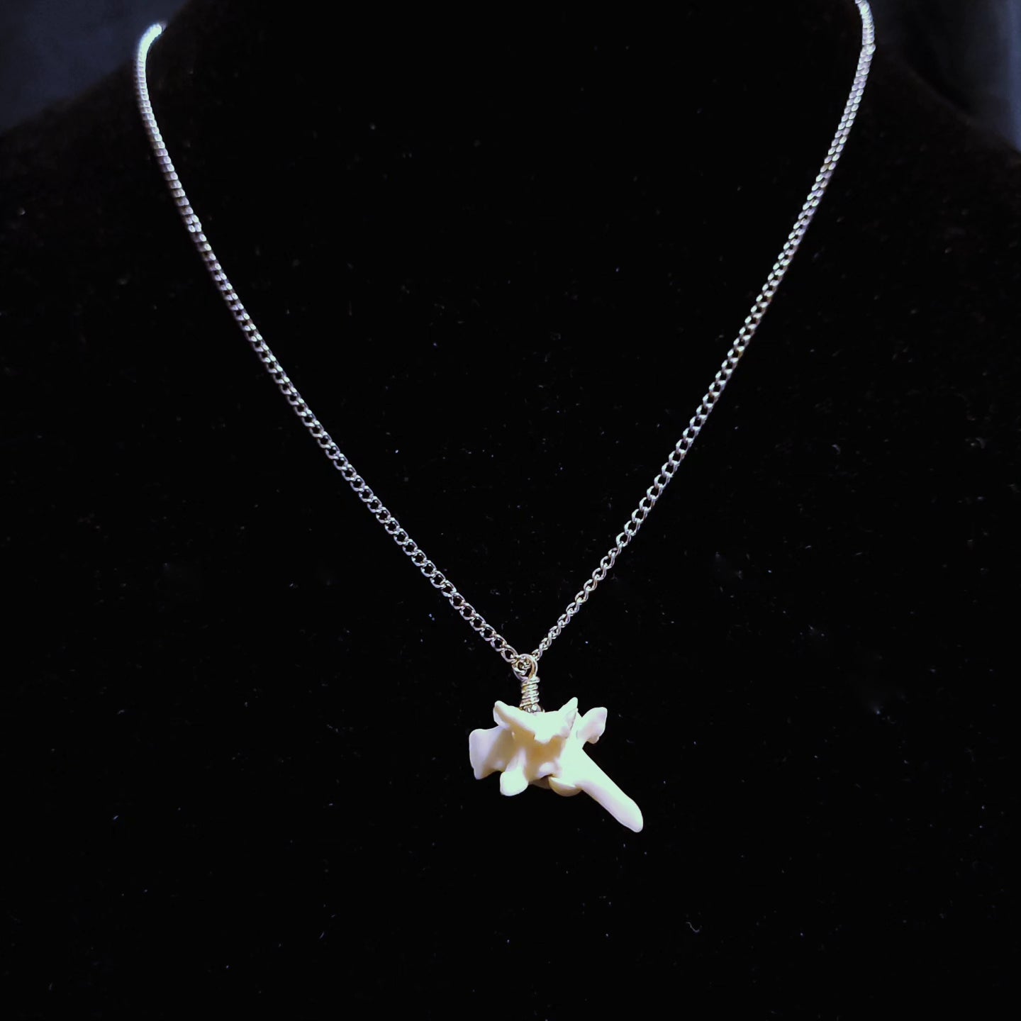 Rattlesnake Vertebrae Pendant Necklace