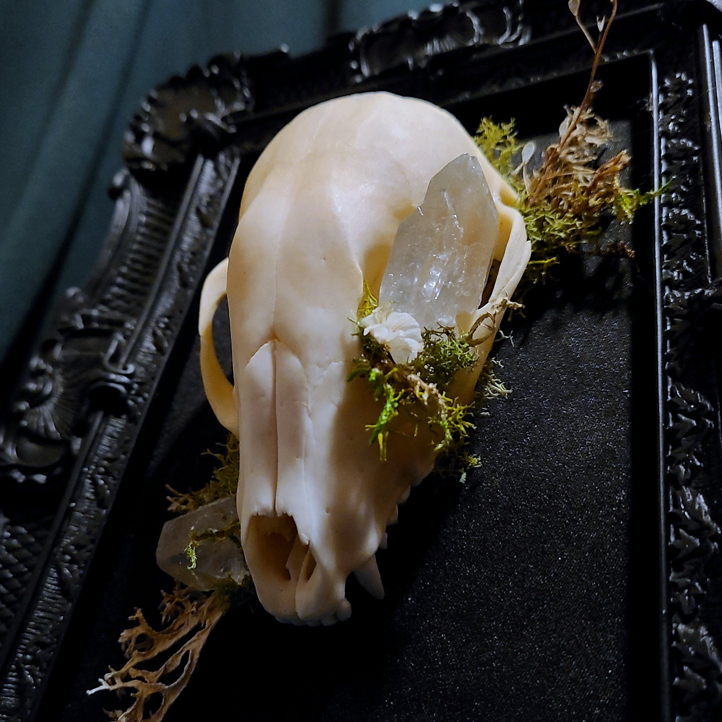 "Hollows Keeper"