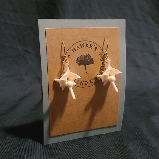Rattlesnake Vertebrae Dangle Earrings