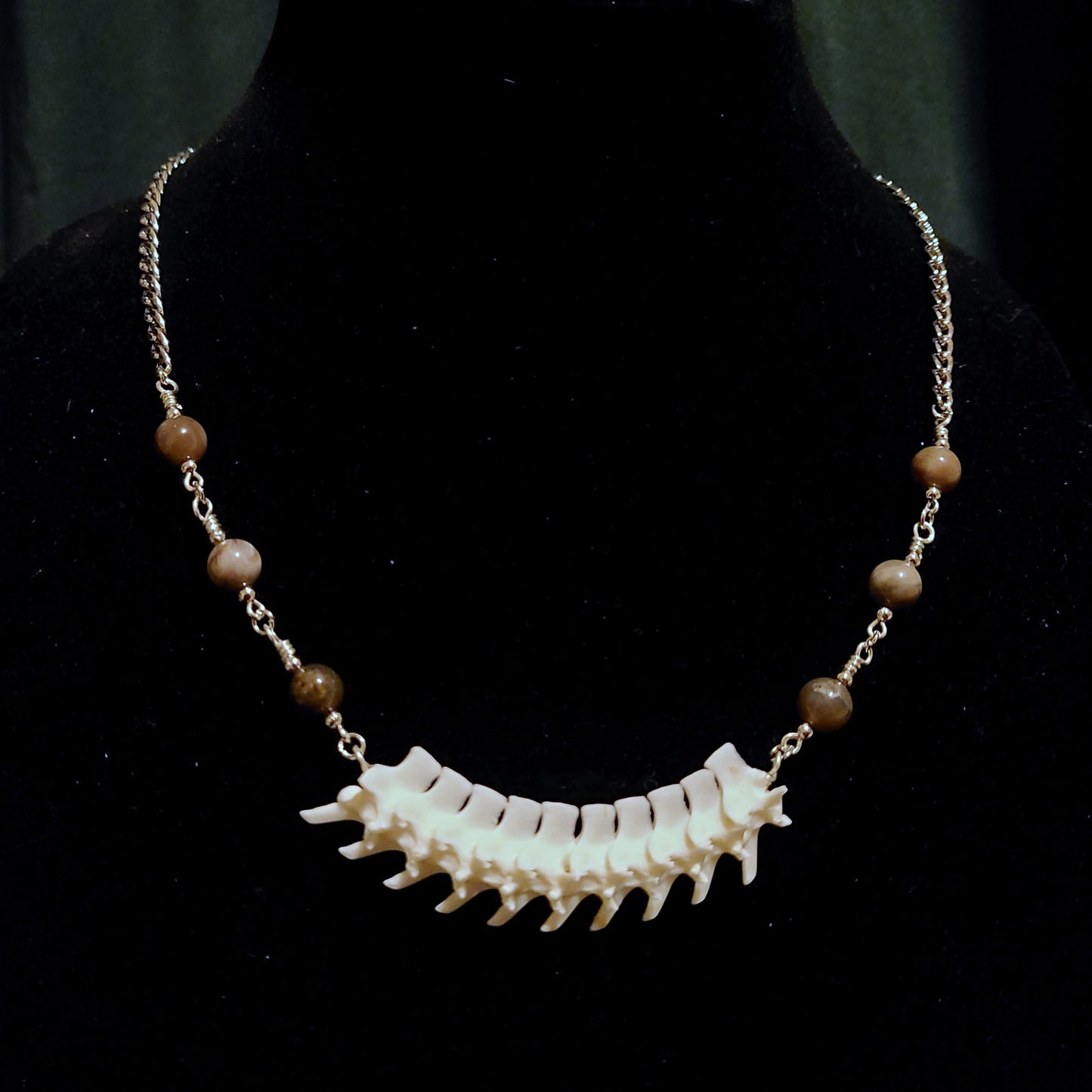 Articulated Rattlesnake Vertebrae and Petrified Wood Necklace