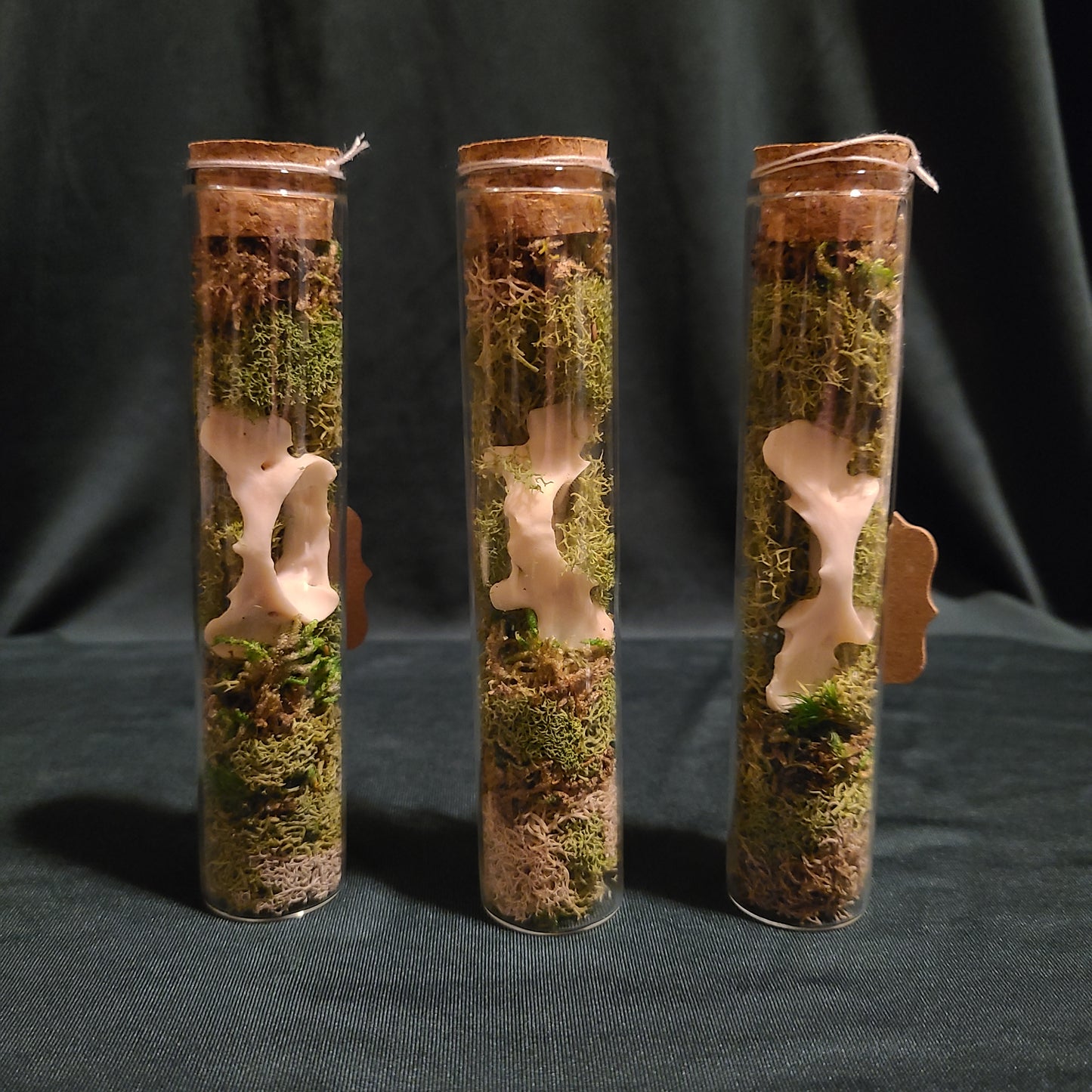 Otter Atlas Curio Vial