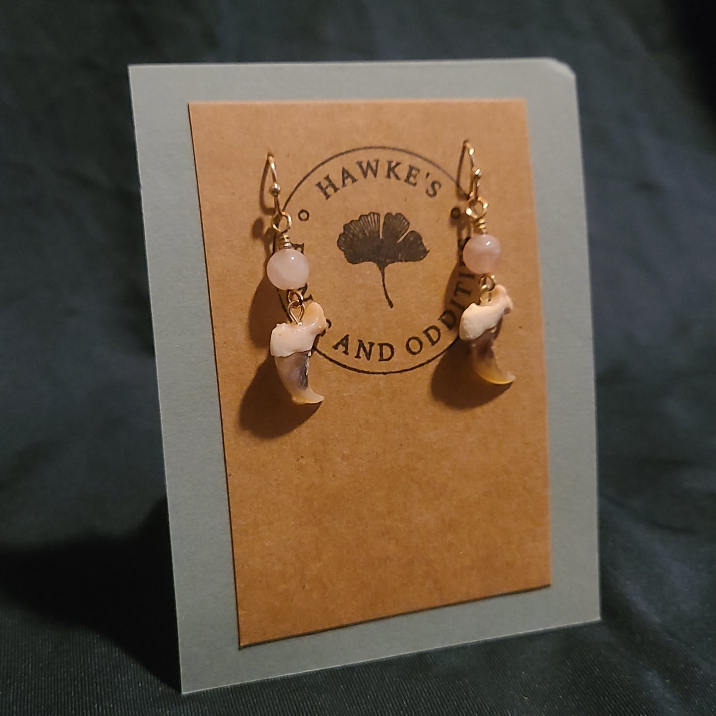 Bobcat Claw and Rose Quartz Dangle Earrings