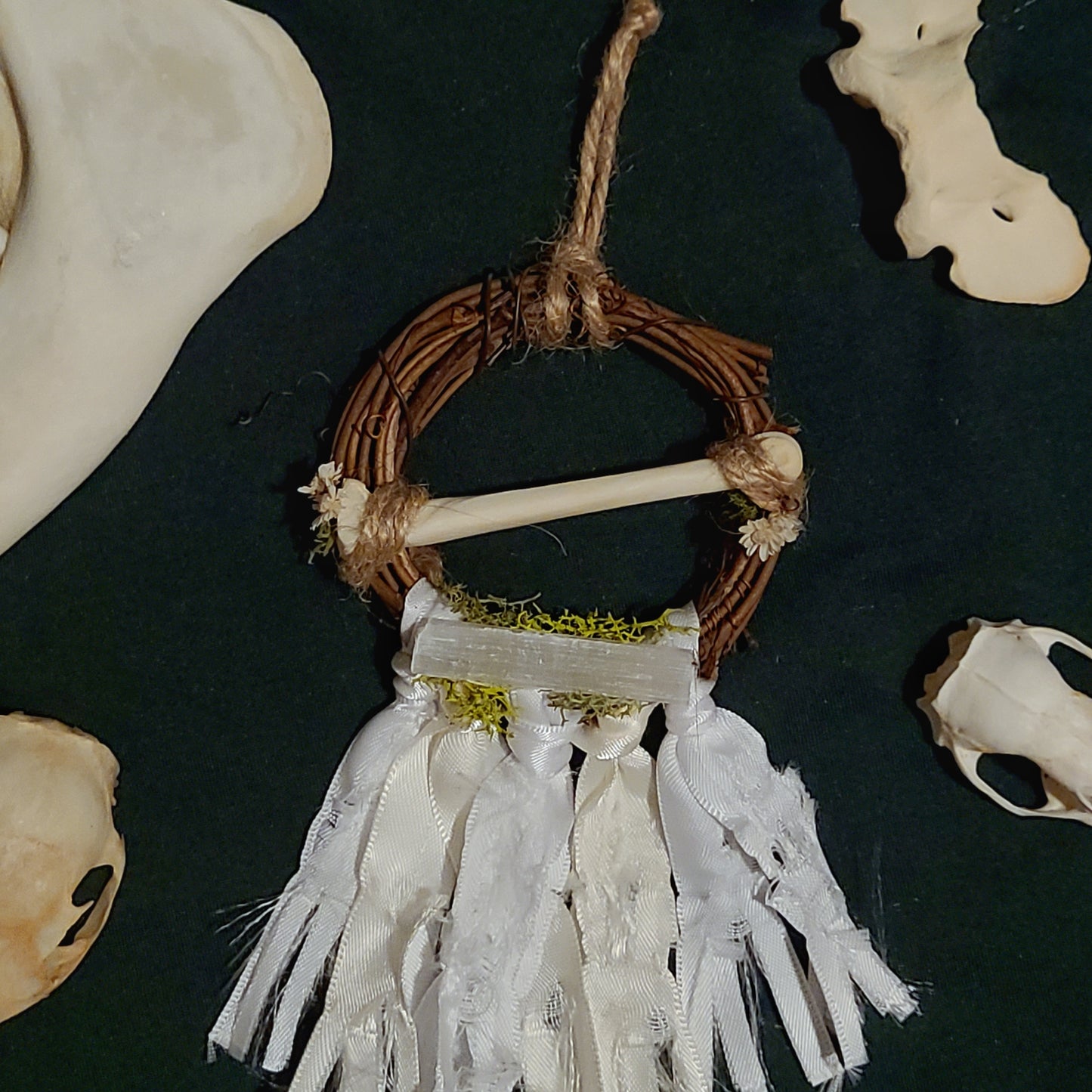 Coyote Toe Bone Mini Wreath