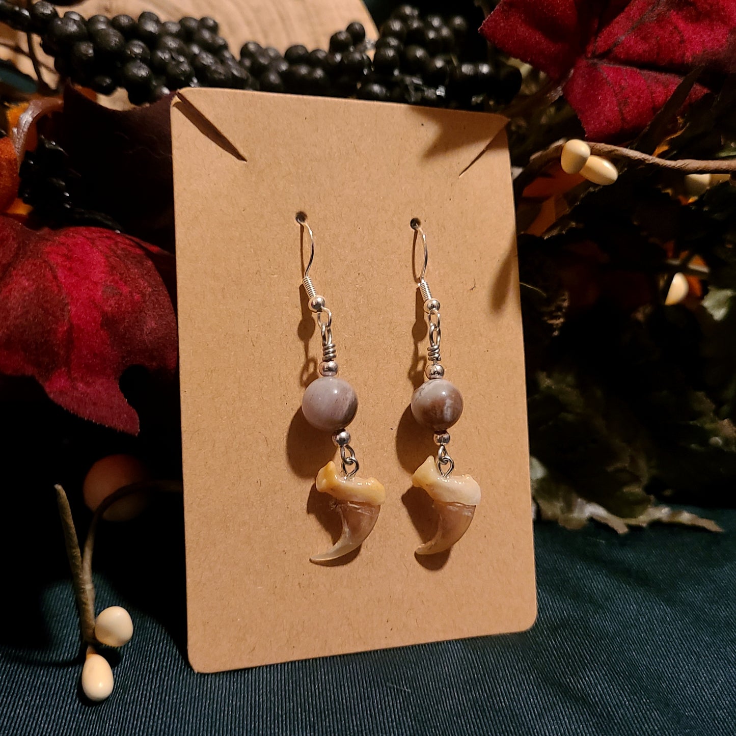 Bobcat Claws and Petrified Wood Earrings