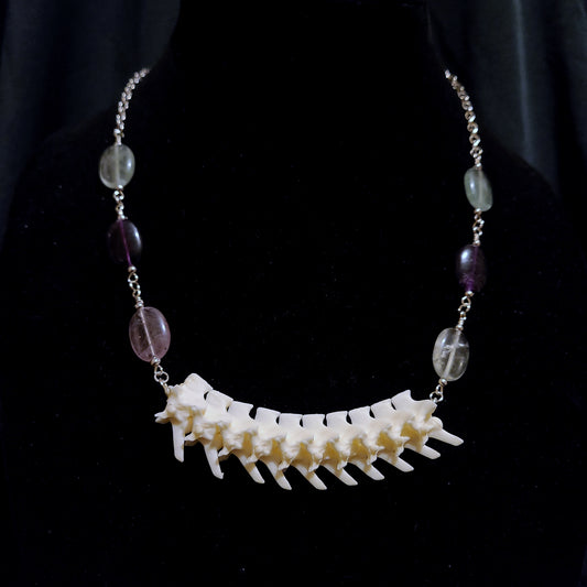 Articulated Rattlesnake Vertebrae and Rainbow Fluorite Necklace