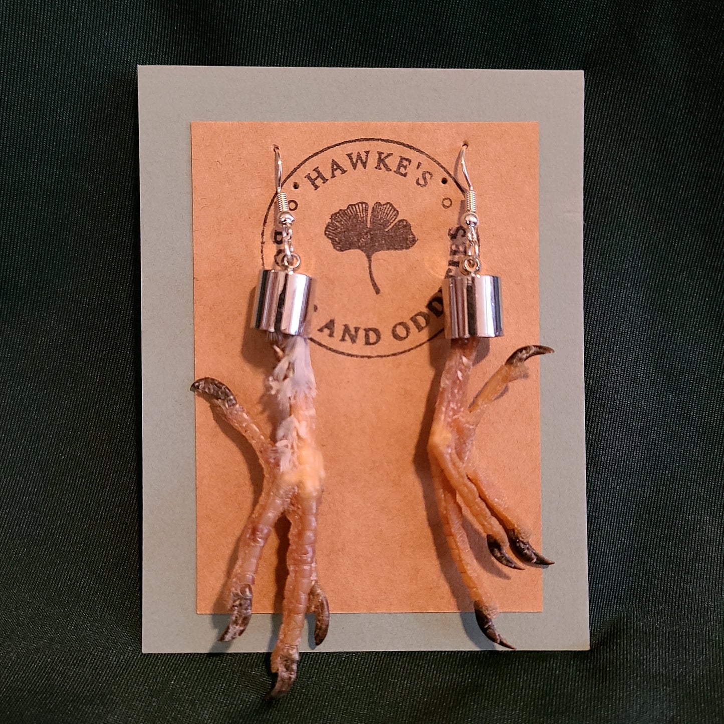 Feral Pigeon Feet Dangle Earrings