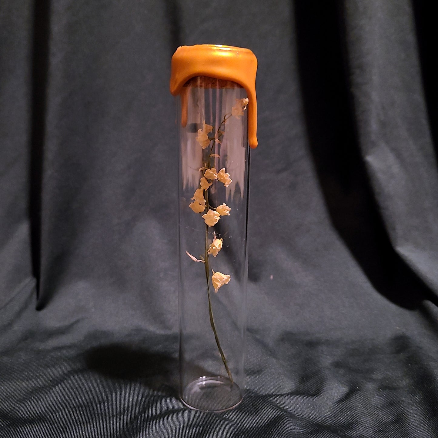 Jumbo Lily of the Valley Specimen
