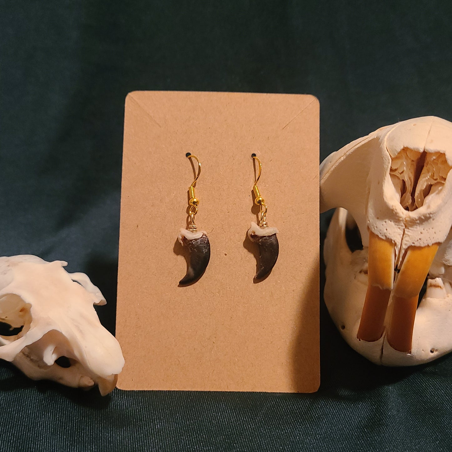 Coyote Claw Earrings